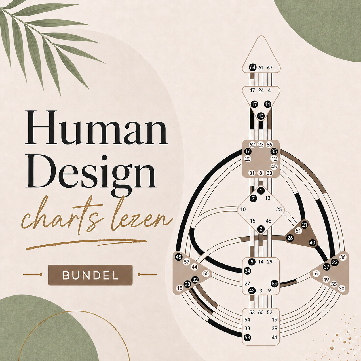 Human Design Opleiding